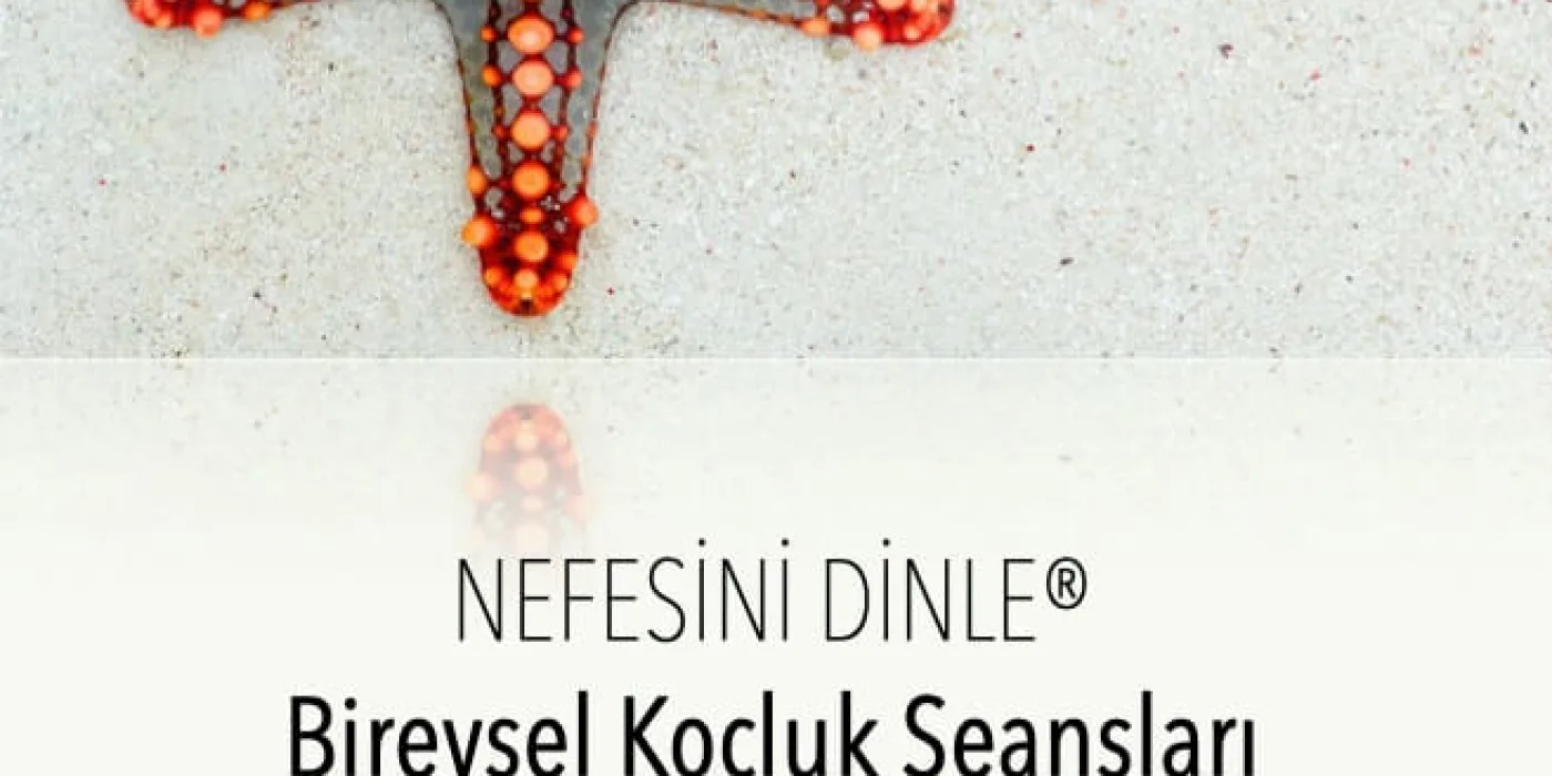 Nefes ve Mindfulness Temelli Bireysel Koçluk Deneyimleri