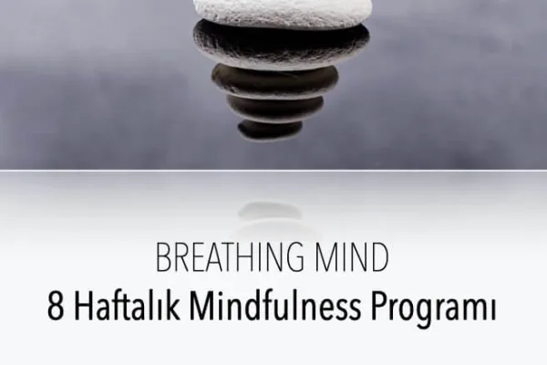 8 Haftalık Mindfulness Programı: Katılımcılar Ne Yaşadı?