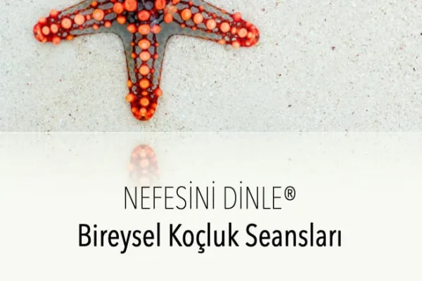 Nefes ve Mindfulness Temelli Bireysel Koçluk Deneyimleri