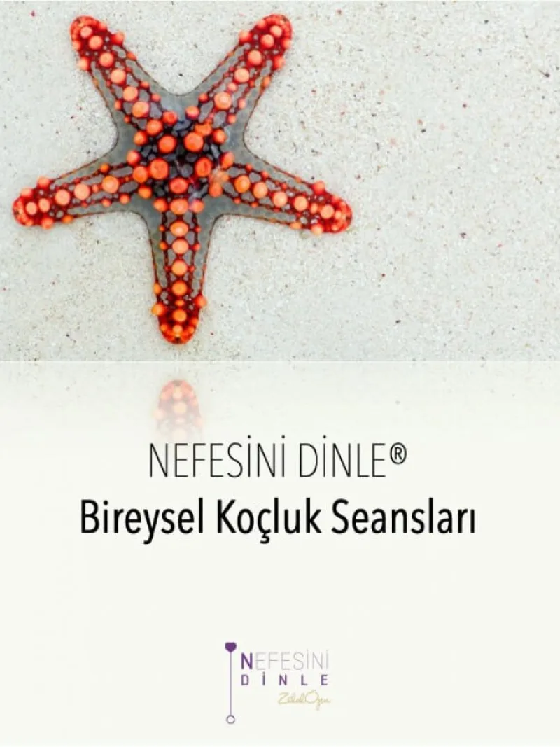 Profesyonel Koçluk Seansları