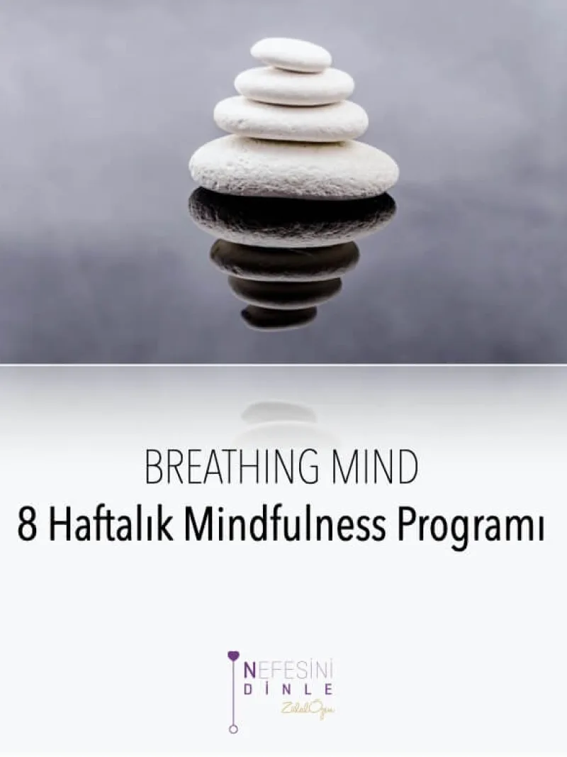 BM Mindfulness ve Şefkat Programı