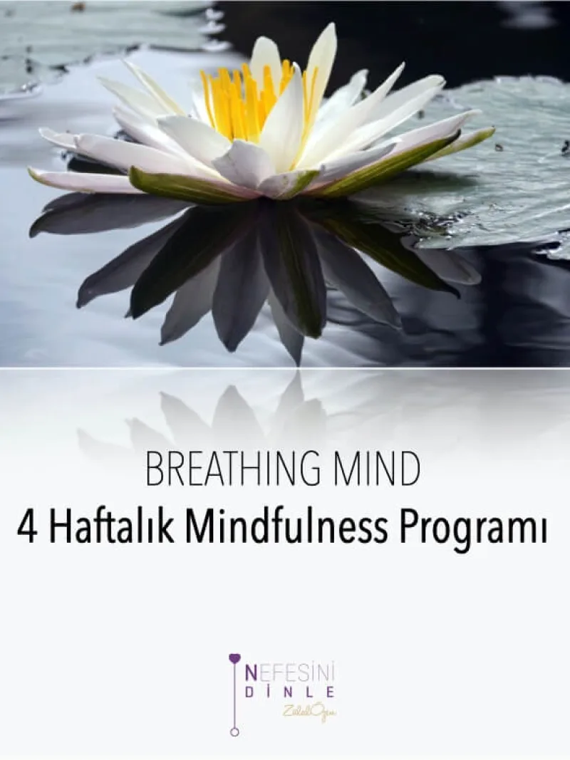 Breathing Mind 4 Haftalık Mindfulness Programı