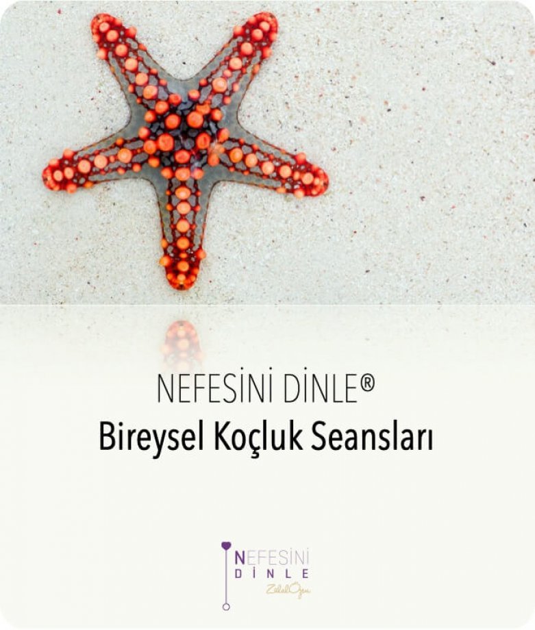 Nefesini Dinle Profesyonel Koçluk Seansları